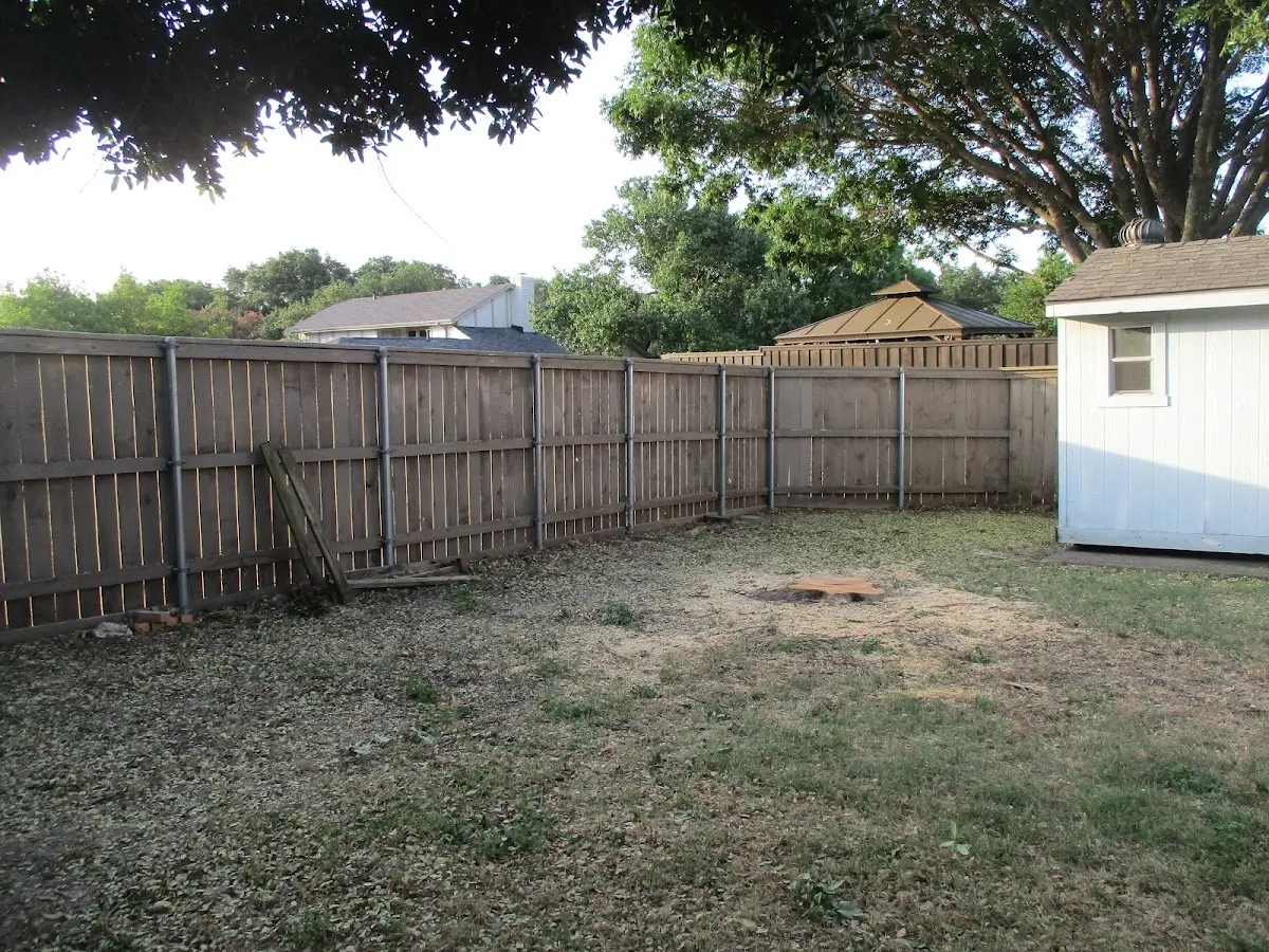 Cleared yard after professional tree removal in Echola